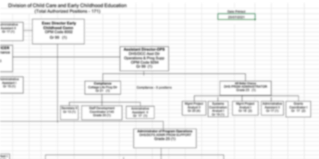 large organizational chart template