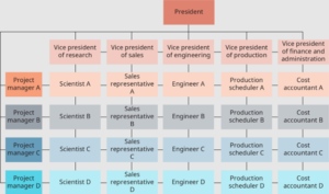 Organizational Structure: The Essential 2024 Guide