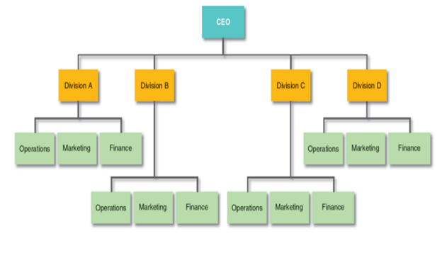 Company Structure & Work-Flow