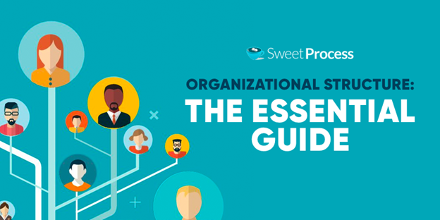 Organizational Structure: The Essential 2024 Guide
