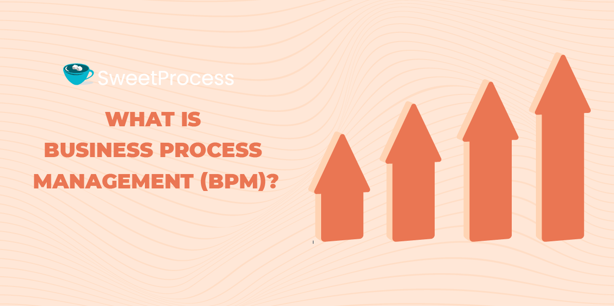 What Is Business Process Management? (+Types and Examples)