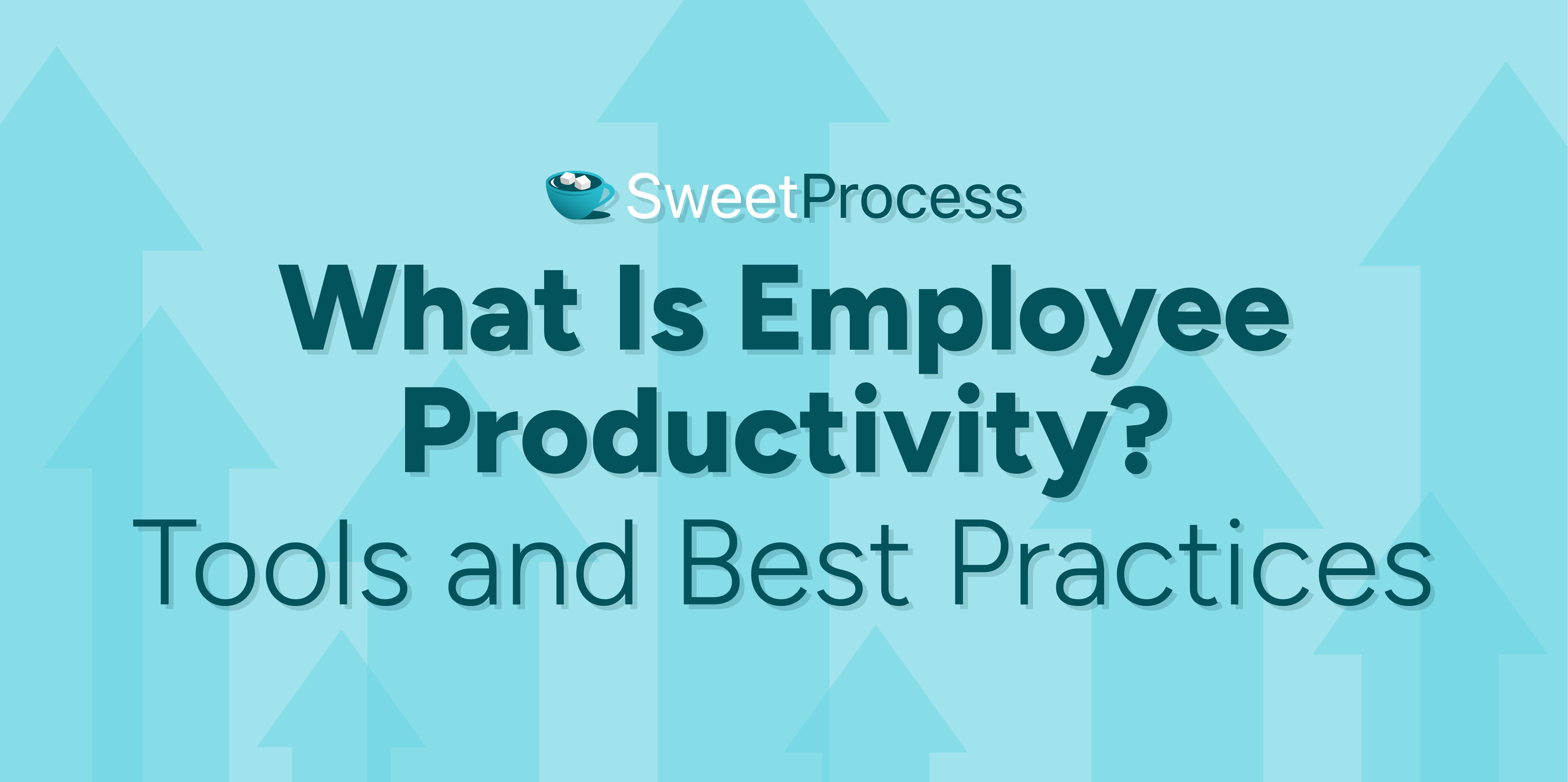 What Is Employee Productivity? Tools and Best Practices