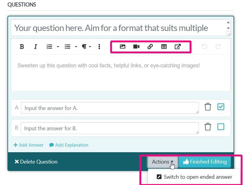 Clicking any of the two option fields opens our main writing/editing tool